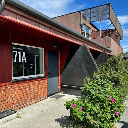 Sentrumsvegen - Private Studio Apartment In Gol Buitenkant foto
