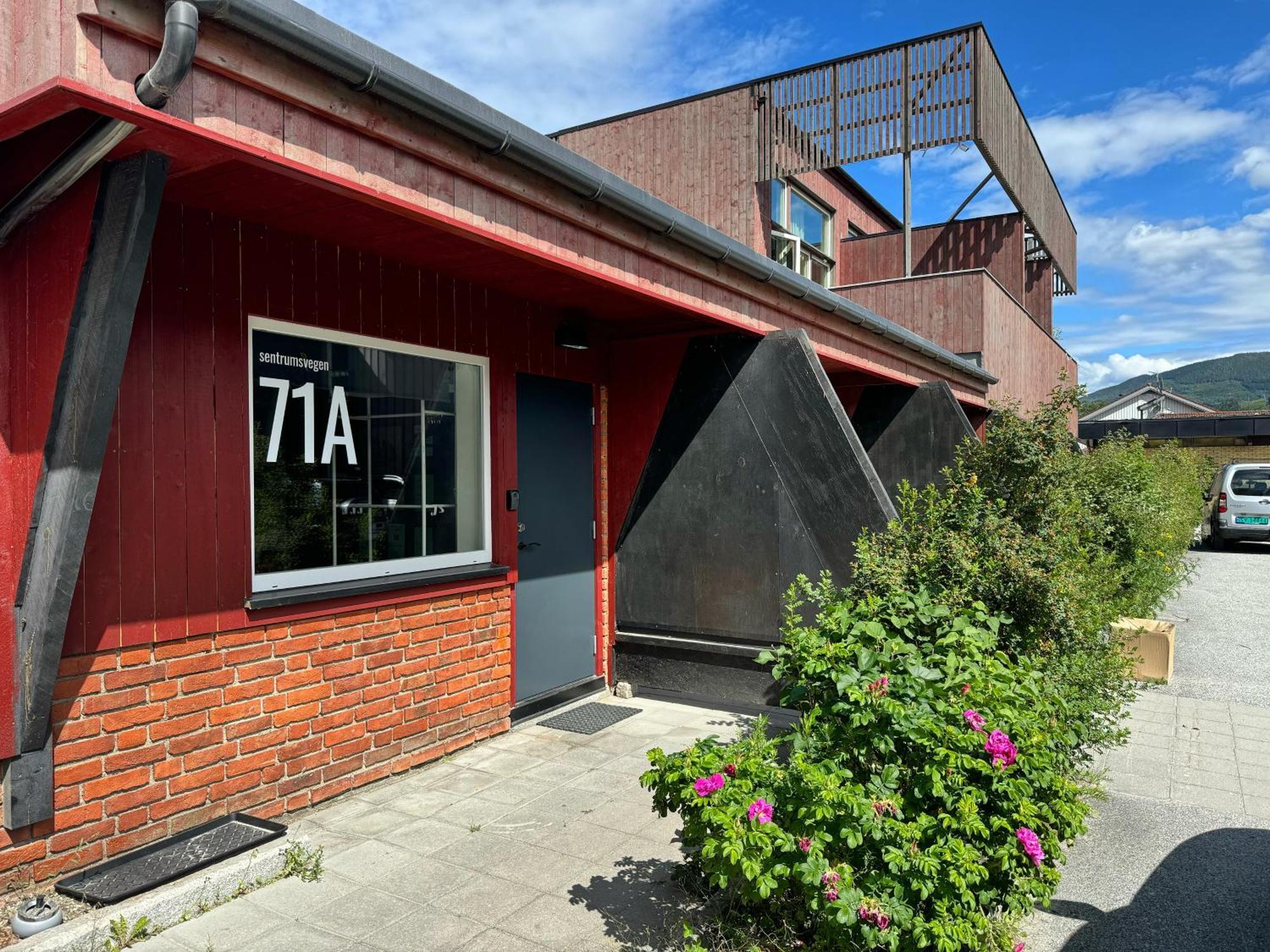 Sentrumsvegen - Private Studio Apartment In Gol Buitenkant foto